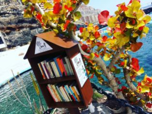 Minibibliotecas instaladas por la Biblioteca de Tabaiba en El Rosario